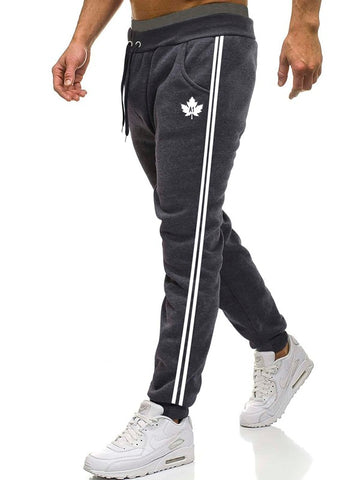 Men Leaf Print Side Striped Sweatpants